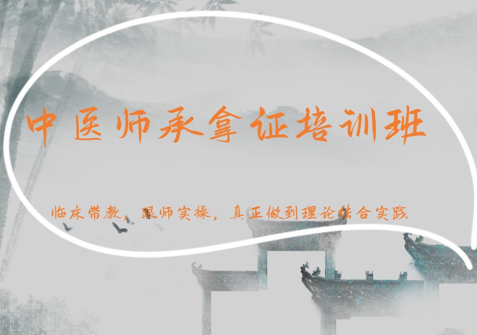 中医师承培训班
