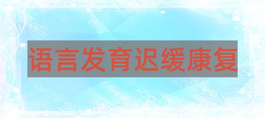语言发育迟缓康复 语言发育迟缓康复