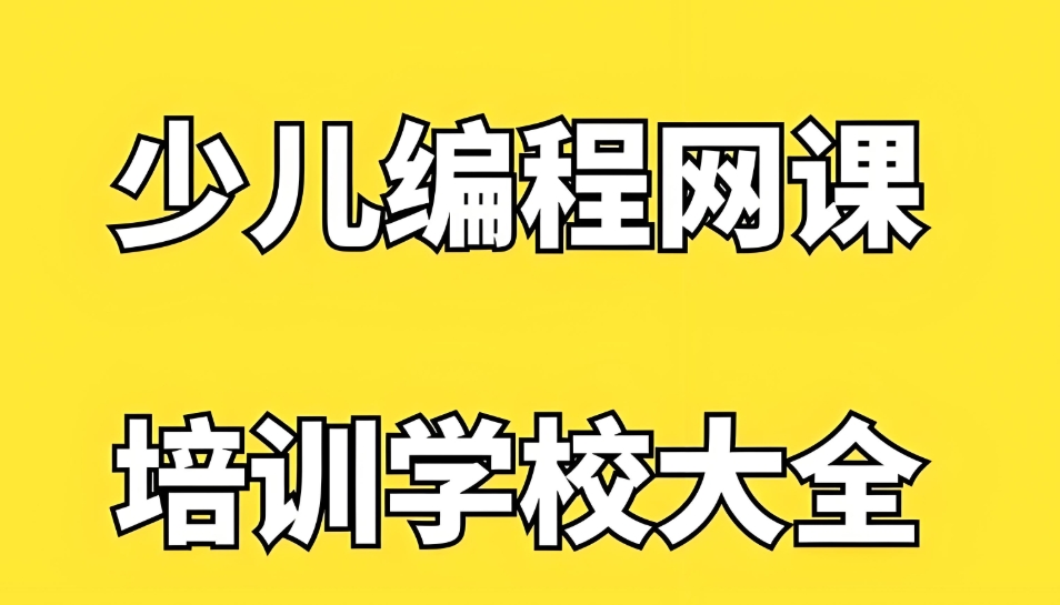 编程课网课