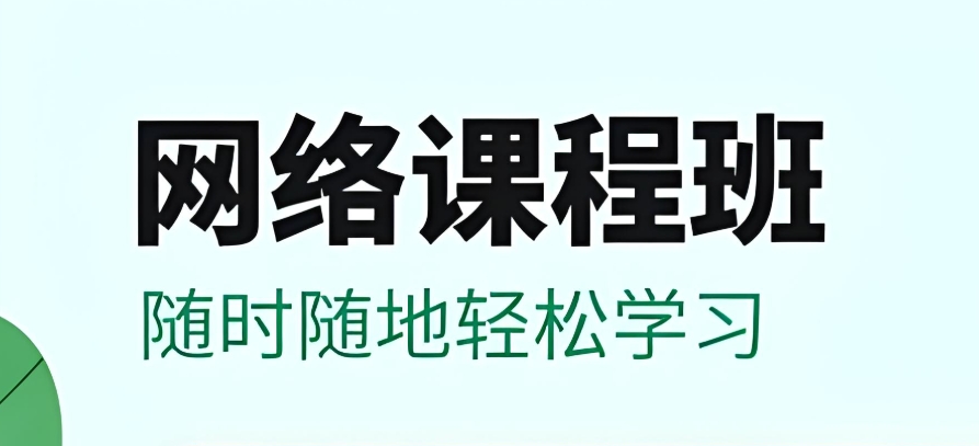 编程课网课