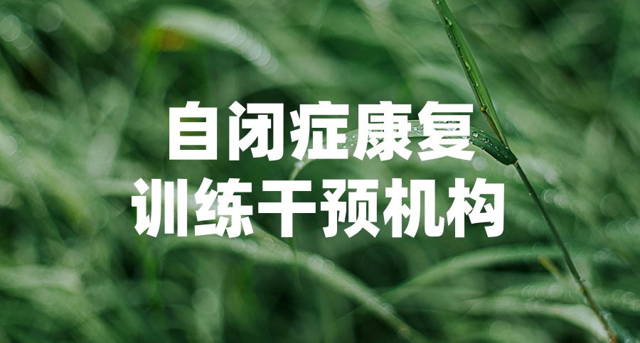 自闭症康复训练机构 自闭症康复训练机构