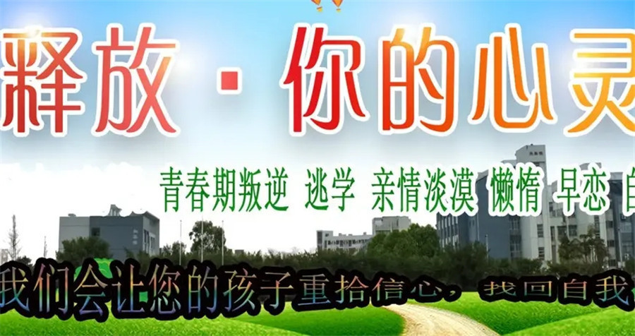 青春期孩子叛逆抑郁引导top10学校 青春期孩子叛逆抑郁引导top10学校