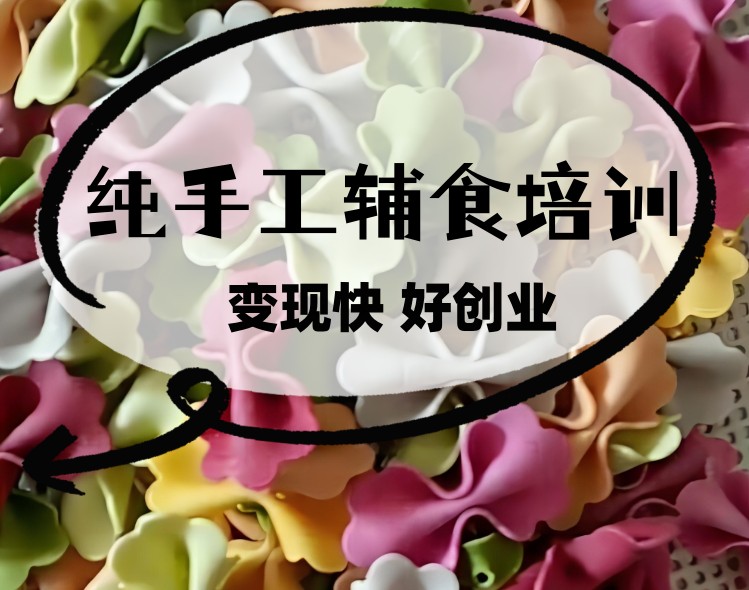 纯手工宝宝辅食培训班 纯手工宝宝辅食培训班