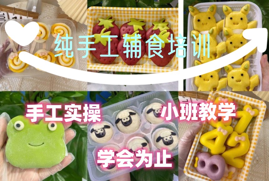 纯手工宝宝辅食培训 纯手工宝宝辅食培训