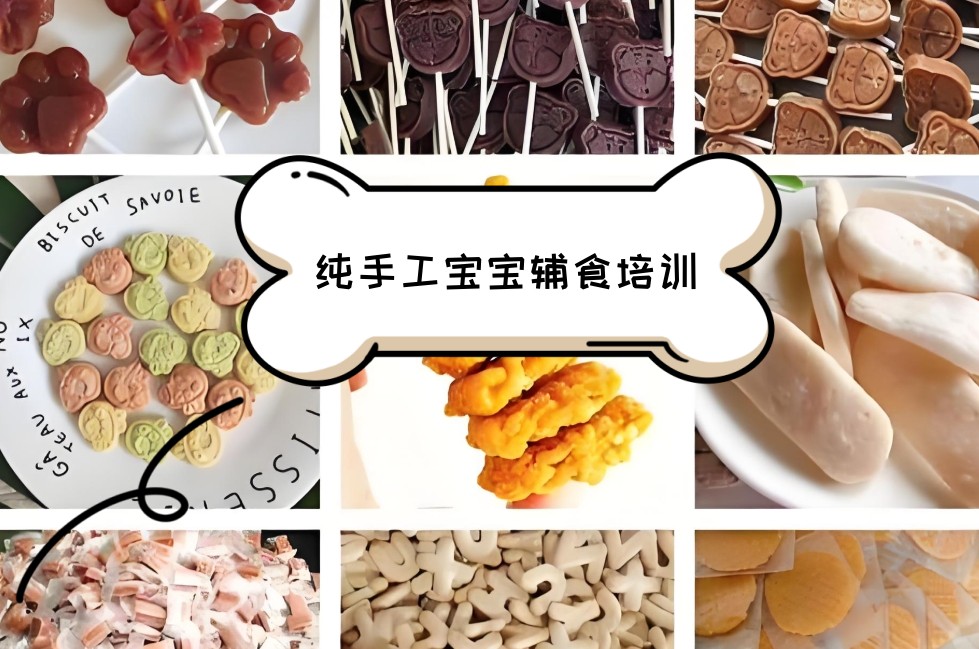 纯手工辅食培训 纯手工辅食培训