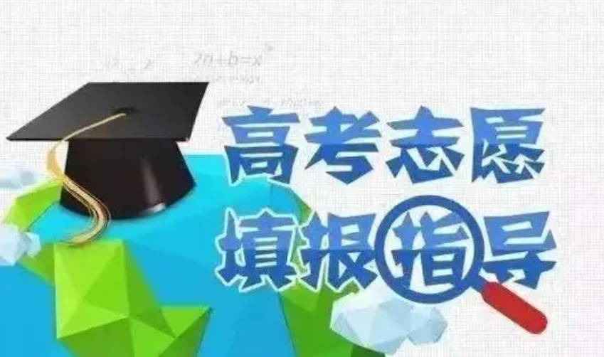 高考志愿填报指导服务