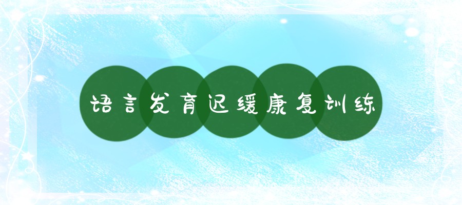 语言训练康复中心 语言训练康复中心