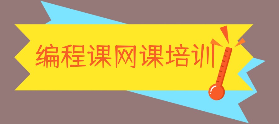 编程课网课