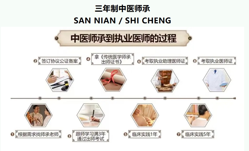 三年中医师承培训