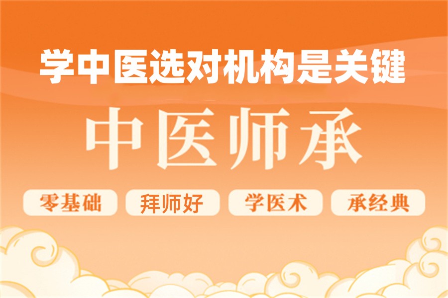 中医师承培训机构 中医师承培训机构