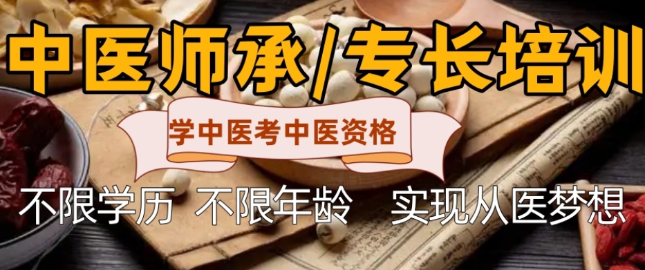 中医师承培训 中医师承培训