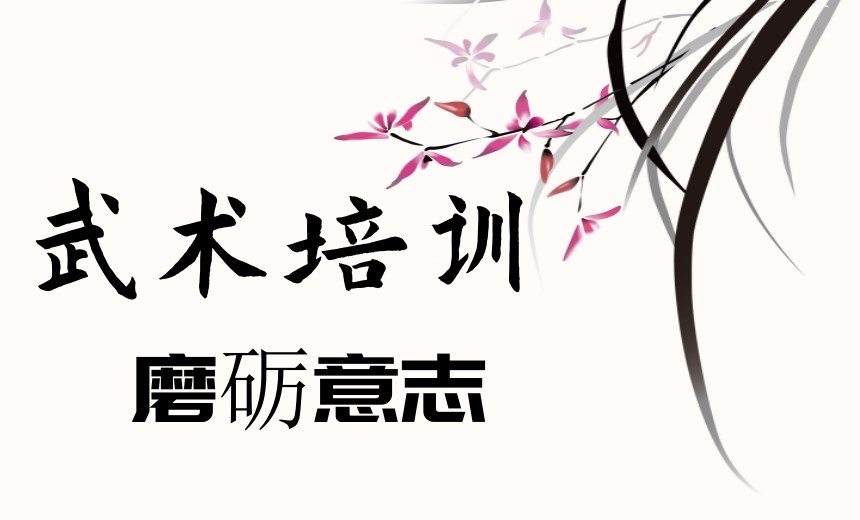 南京比较厉害的武术培训班排名前三名单大揭秘.jpg 南京比较厉害的武术培训班排名前三名单大揭秘.jpg