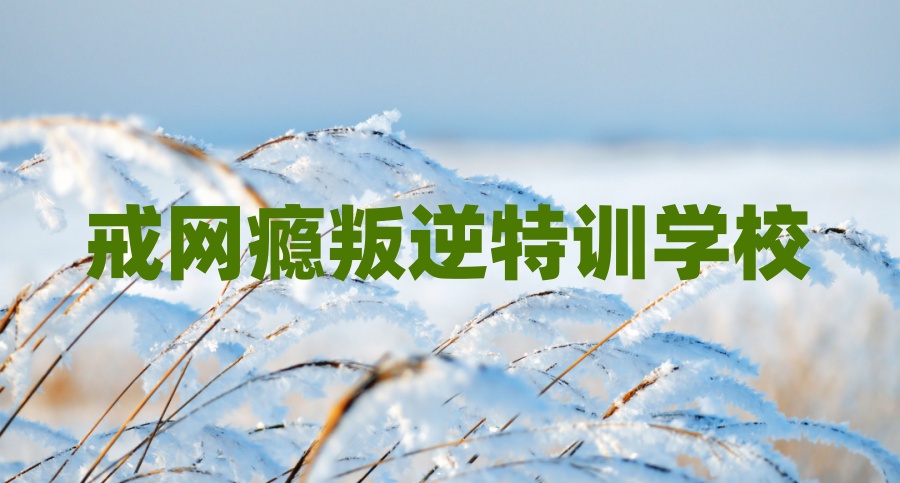 青少年叛逆矫正学校 青少年叛逆矫正学校