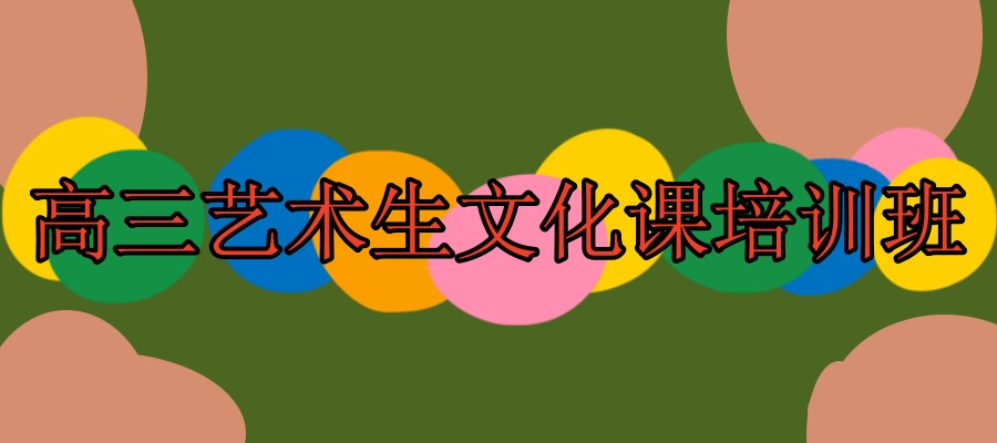 高三艺术生文化课培训班 高三艺术生文化课培训班
