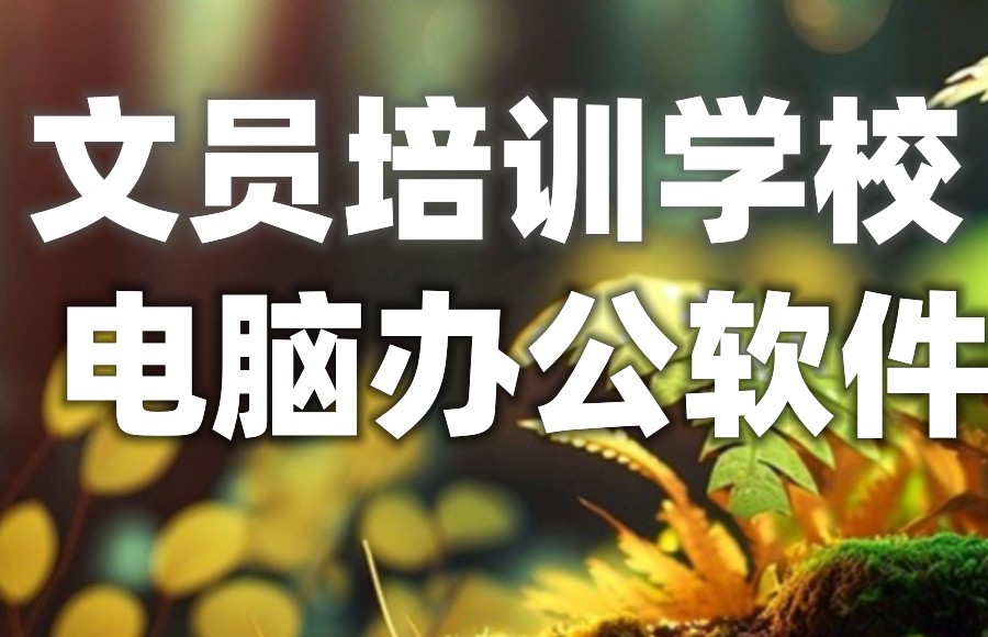 成人计算机培训学校 成人计算机培训学校