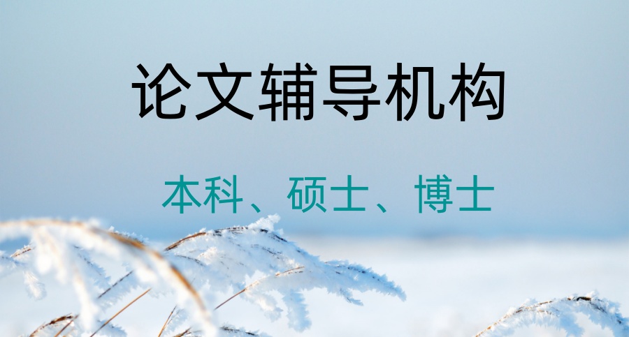 博士论文辅导机构 博士论文辅导机构