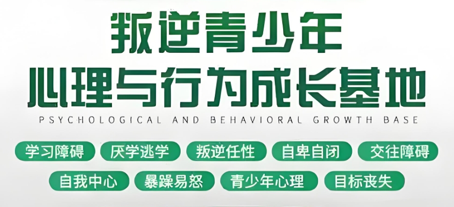 河北石家庄叛逆期青少年专门管教学校top10名单