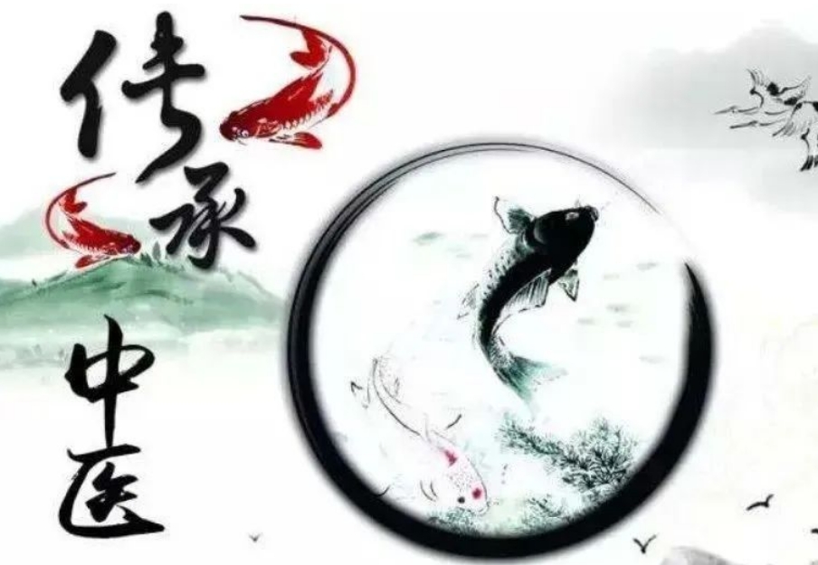 中医专长培训好的学校