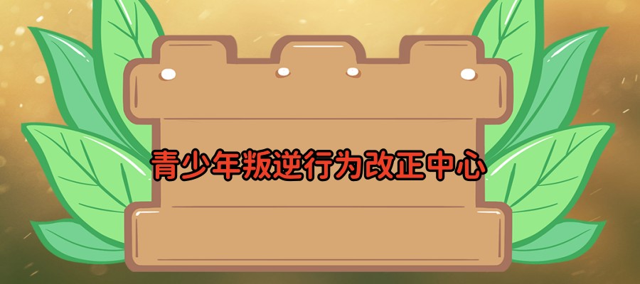 江苏省能矫正孩子叛逆的封闭学校热推-解放家长-改变孩子