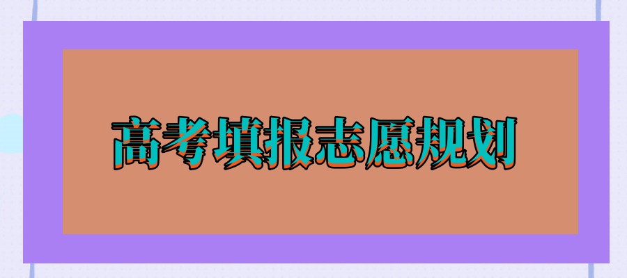 指导填写新高考志愿的机构