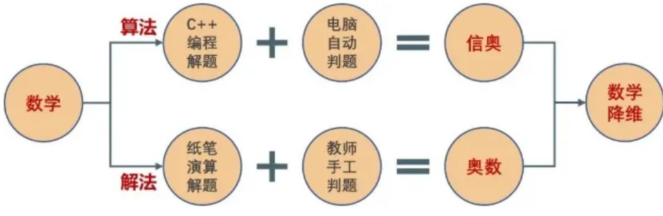 少儿编程培训班 | 信息学奥赛之路如何规划？一文全解！