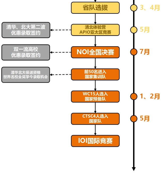  信息学奥赛之路如何规划？