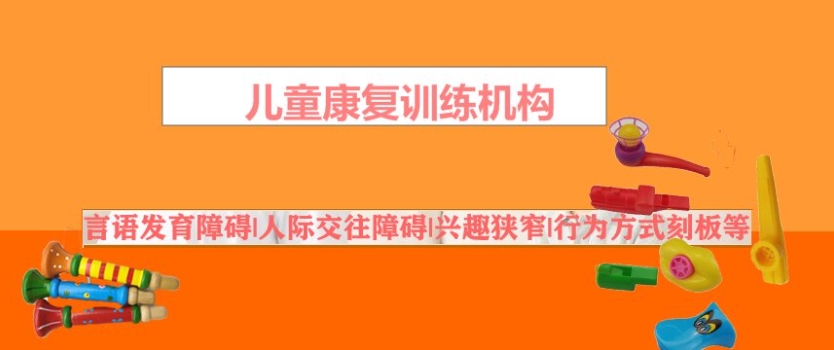 自闭症孩子干预