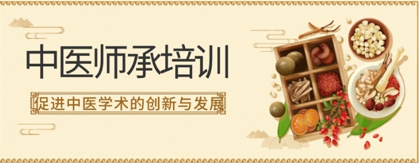 中医师承培训机构排名