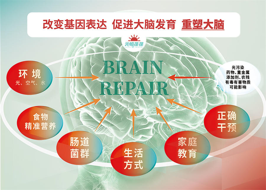 孤独症特殊儿童干预机构