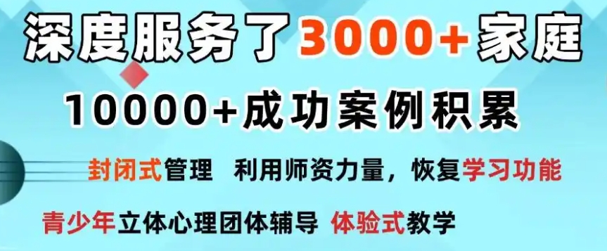 叛逆封闭式特训学校