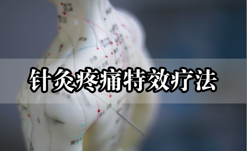 2025TOP十大中医康复理疗培训学校人气名单更新一览.jpg 2025TOP十大中医康复理疗培训学校人气名单更新一览.jpg