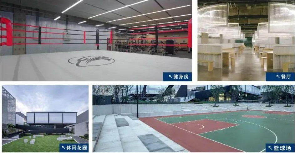 杭州民办高中学校 杭州民办高中学校