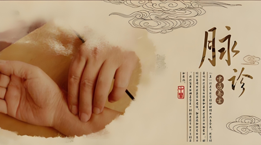 中医诊脉培训班