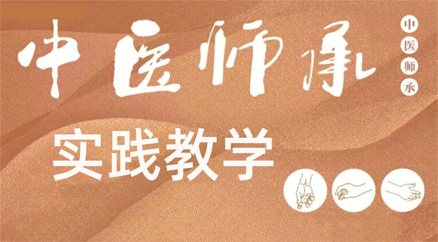 中医师承培训机构（学校）实力排名