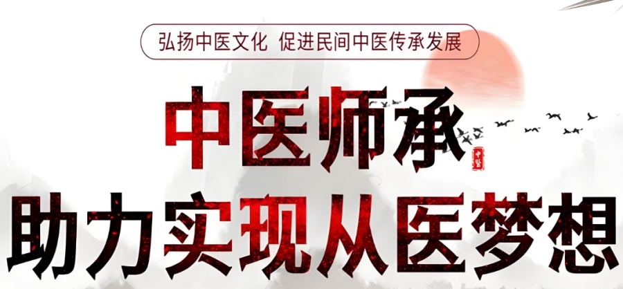 中医师承培训班