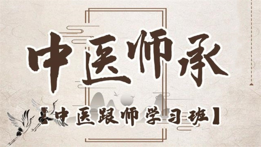 中医师承培训机构哪家好