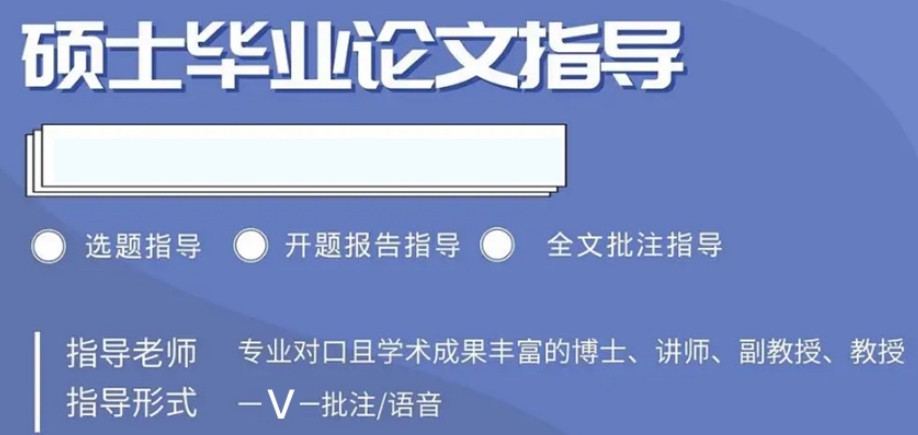 博士论文辅导中介