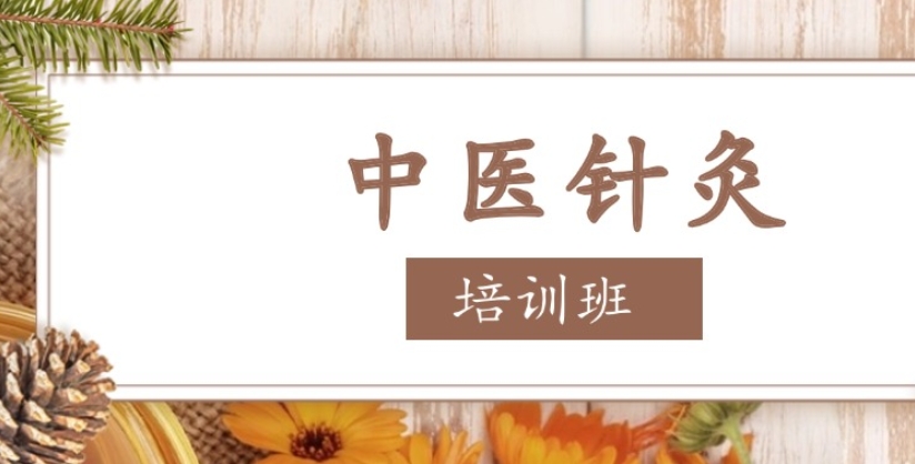中医针灸培训机构