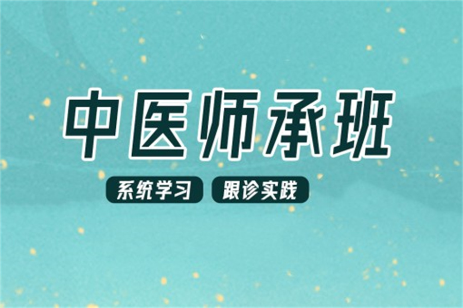 中医师承医师资格教学培训机构
