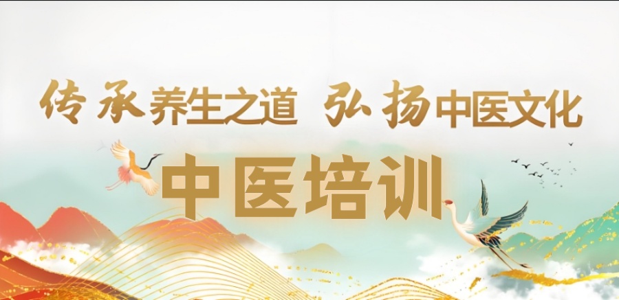 中医培训机构哪家好