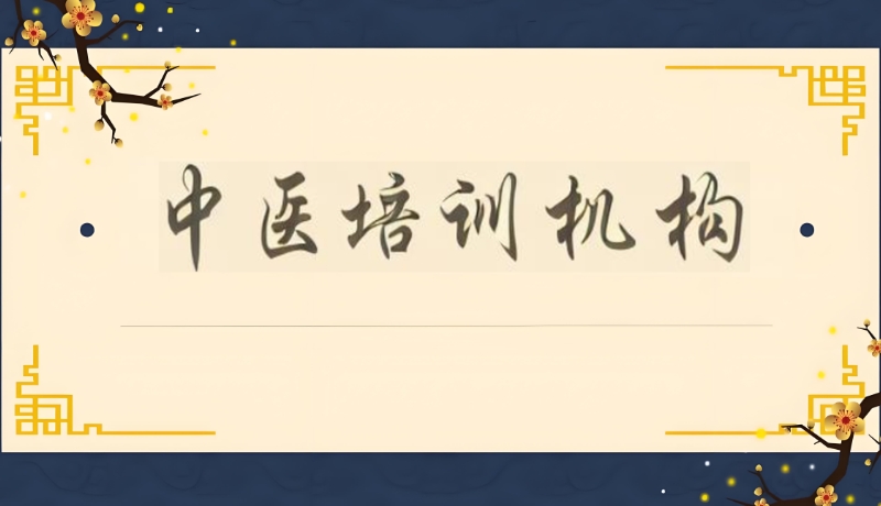 中医技能培训