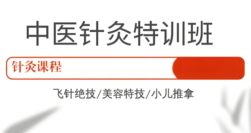 中医针灸师培训班