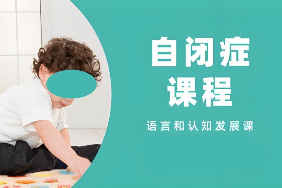 自闭症儿童康复训练机构 自闭症儿童康复训练机构