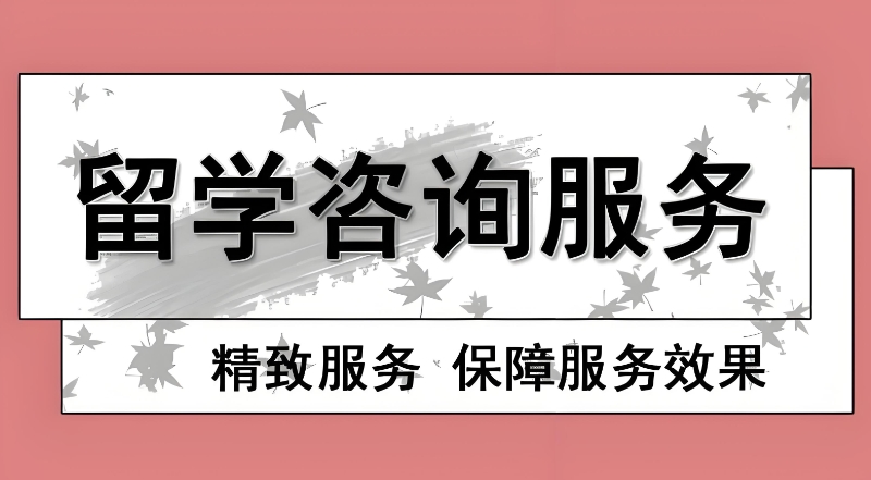 留学咨询 留学咨询