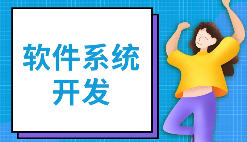 软件开发