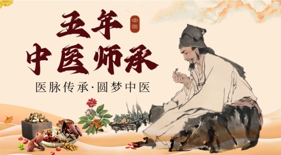 国内中医师承培训学校