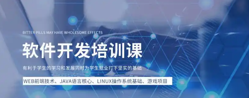 IT培训机构，IT细分领域，IT技能学习，编程语言学习