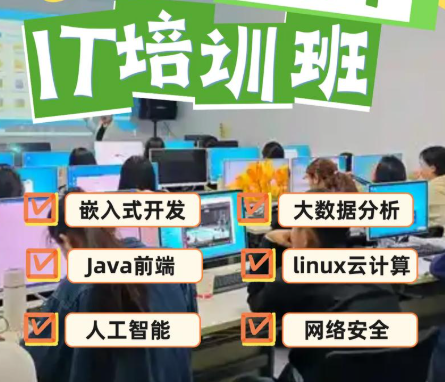IT培训机构，IT细分领域，IT技能学习，编程语言学习