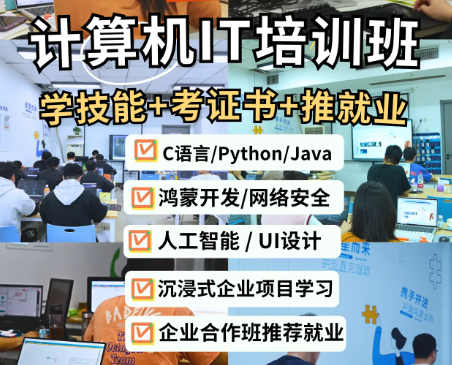 IT培训机构，IT细分领域，IT技能学习，编程语言学习