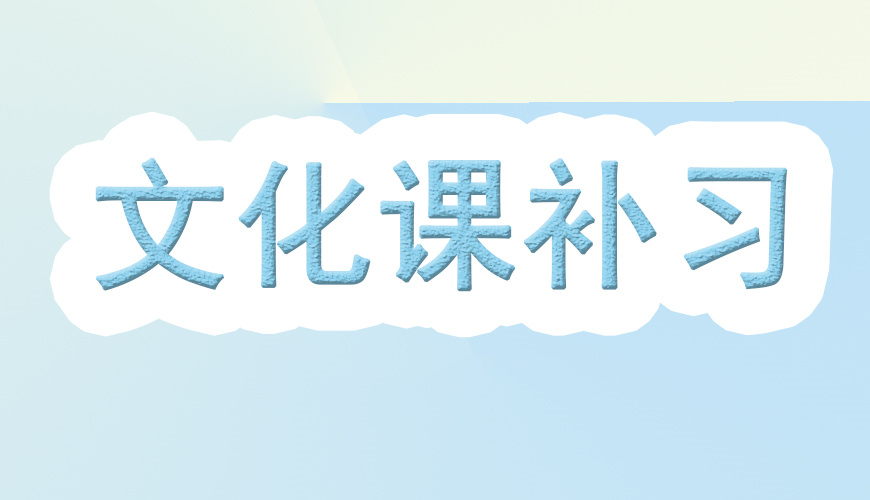 艺考生文化课辅导机构